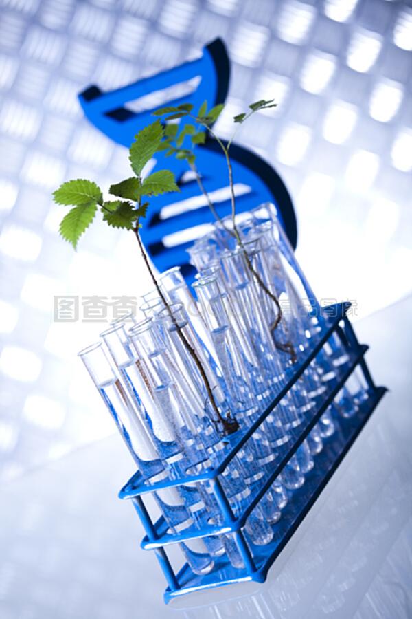 生物技术、化学实验室玻璃器皿、生物有机现代概念