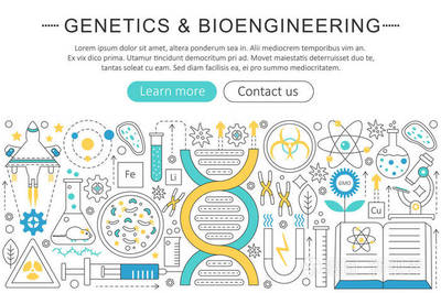矢量优雅薄扁线遗传学和生物工程的概念。网站标题横幅元素布局。演示文稿、 传单和海报