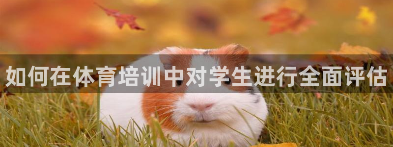 耀世娱乐登录地址在哪查：如何在体育培训中对学生进行全