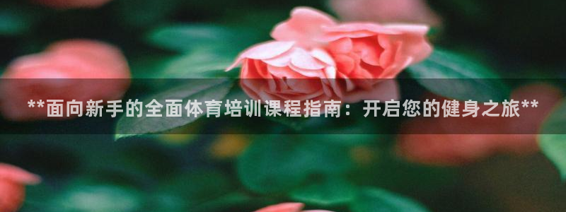 耀世平台最新注册地址是哪里：**面向新手的全面体育培