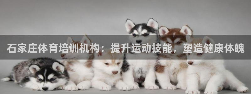 耀世平台易 411031 耀世：石家庄体育培训机构：