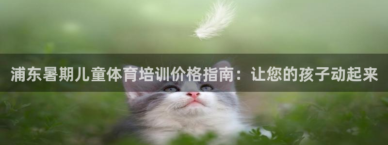 耀世娱乐家 411O31 耀世：浦东暑期儿童体育培训