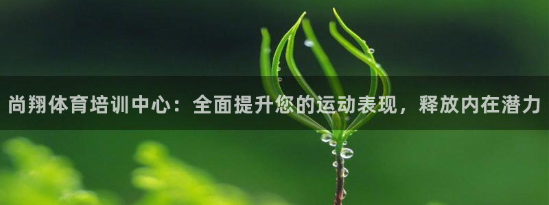 耀世国际平台正规吗安全吗可靠吗：尚翔体育培训中心：全