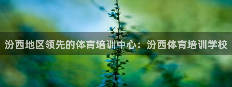 耀世平台注册网址是多少号：汾西地区领先的体育培训中心