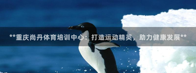 耀世娱乐平台官网登录入口手机版：**重庆尚丹体育培训