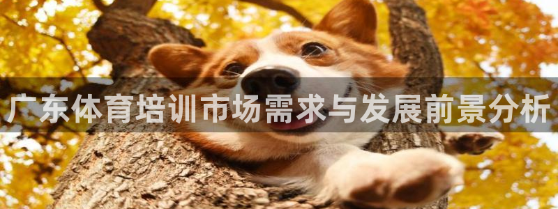 耀世微光下载：广东体育培训市场需求与发展前景分析