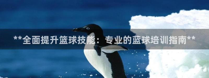耀世娱乐登录地址在哪查：**全面提升篮球技能：专业的