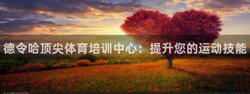 耀世平台代理多少钱一次：德令哈顶尖体育培训中心：提升