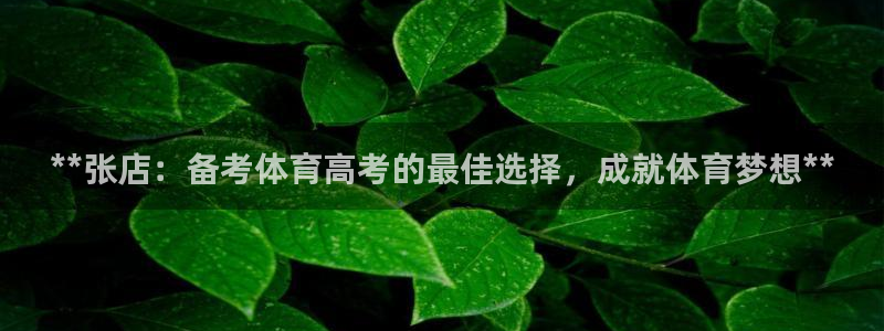 耀世娱乐挂机怎么玩：**张店：备考体育高考的最佳选择，成就体