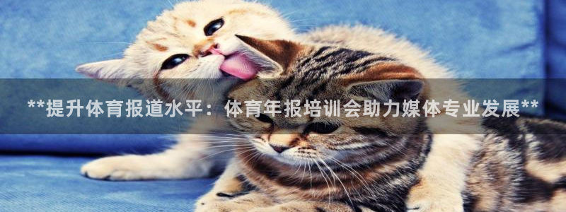 耀世娱乐腾讯分分彩代理联系方式：**提升体育报道水平
