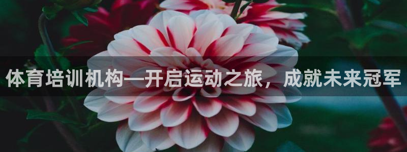 耀世娱乐安全吗可靠吗：体育培训机构—开启运动之旅，成