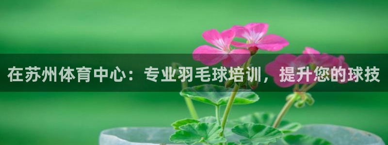 耀世集团董事长简介：在苏州体育中心：专业羽毛球培训，