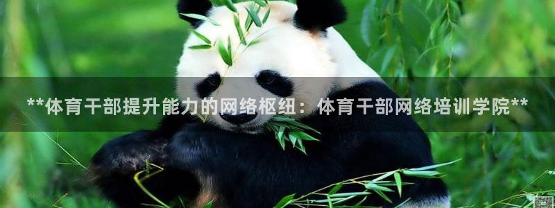 耀世娱乐如何登录平台账号：**体育干部提升能力的网络