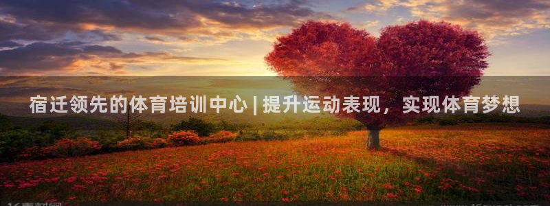 耀世娱乐官网注册流程：宿迁领先的体育培训中心 | 提