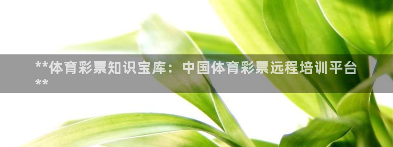 耀世平台注册网址查询：**体育彩票知识宝库：中国体育