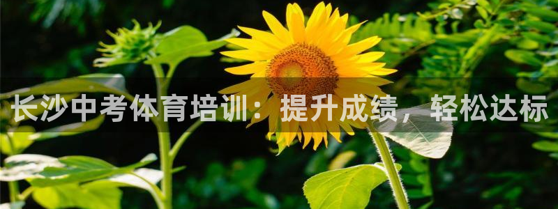 耀世娱乐能提现吗现在多少钱：长沙中考体育培训：提升成