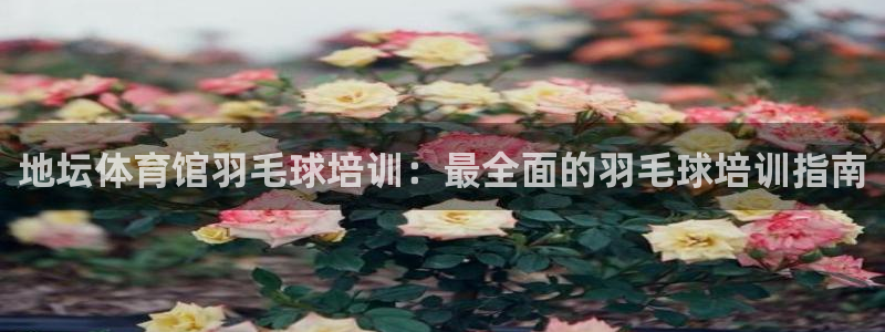 耀世集团视频：地坛体育馆羽毛球培训：最全面的羽毛球培