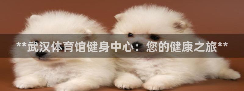 耀世娱乐客服：**武汉体育馆健身中心：您的健康之旅*