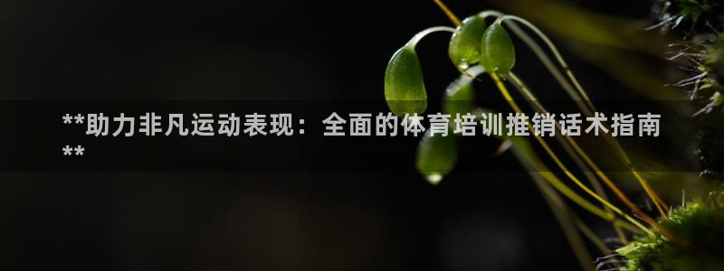 耀世集团七天三彩：**助力非凡运动表现：全面的体育培