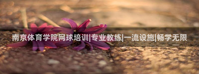 耀世平台的运营模式有哪些：南京体育学院网球培训|专业