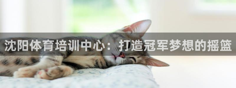 耀世集团董事长是谁：沈阳体育培训中心：打造冠军梦想的