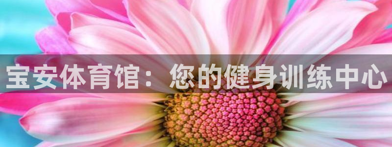 耀世娱乐注册账号：宝安体育馆：您的健身训练中心