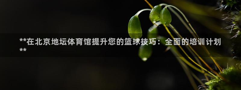 耀世娱乐辅助软件下载安卓：**在北京地坛体育馆提升您