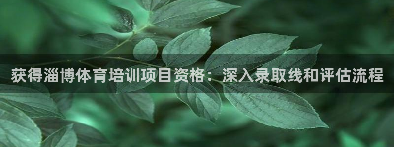 耀世挑战第三关怎么过：获得淄博体育培训项目资格：深入