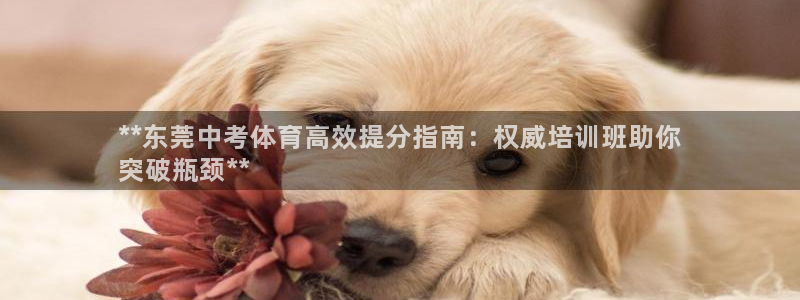 耀世集团商业联盟招聘：**东莞中考体育高效提分指南：