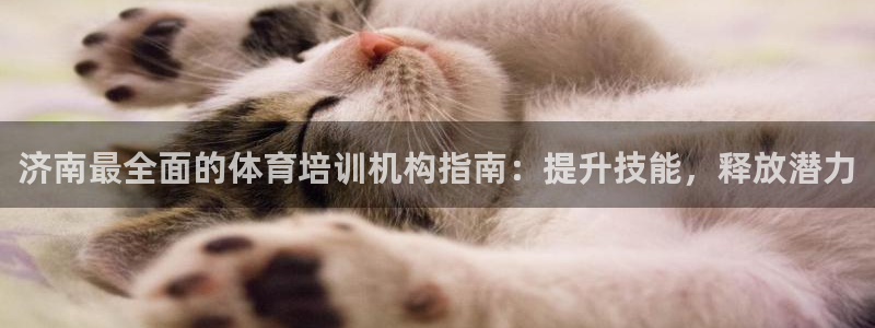 耀世集团王总简介：济南最全面的体育培训机构指南：提升