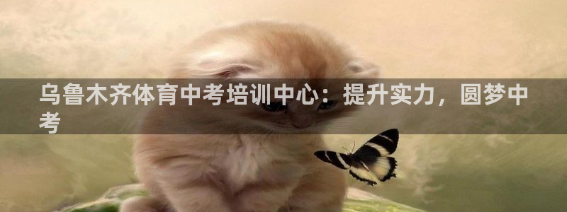 耀世天下：乌鲁木齐体育中考培训中心：提升实力，圆梦中