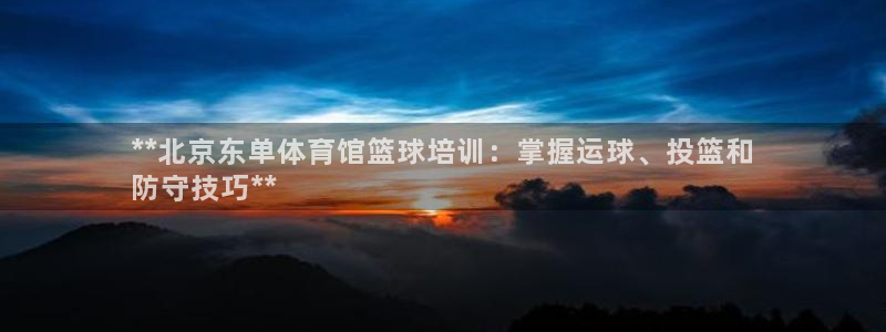 耀世娱乐登陆官网下载：**北京东单体育馆篮球培训：掌