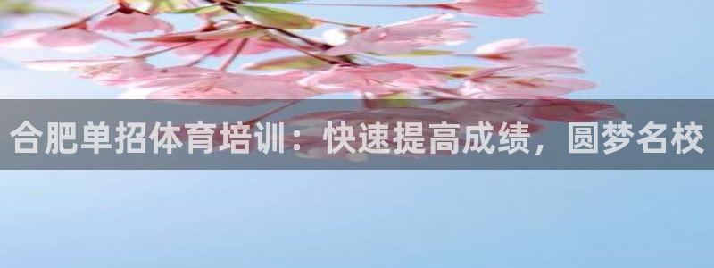 耀世娱乐挂机脚本怎么用：合肥单招体育培训：快速提高成绩，圆梦