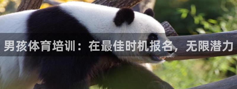 耀世平台最新注册地址：男孩体育培训：在最佳时机报名，