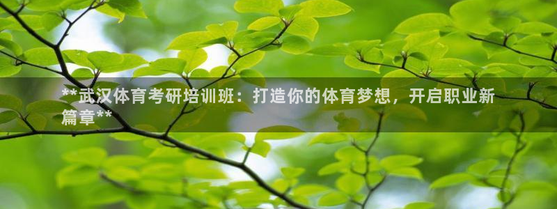 耀世平台主管代理怎么做：**武汉体育考研培训班：打造你的体育