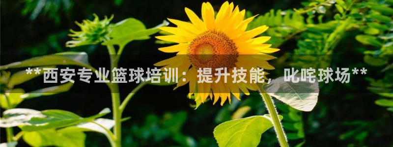 耀世天下短句：**西安专业篮球培训：提升技能，叱咤球场**