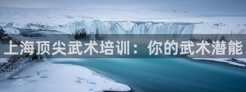 耀世平台开户流程：上海顶尖武术培训：你的武术潜能