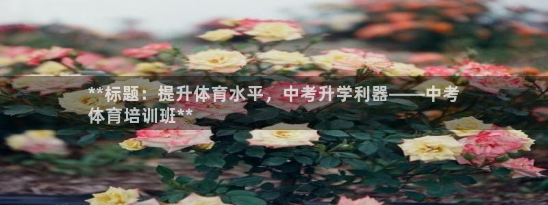 耀世平台注册流程：**标题：提升体育水平，中考升学利器——中