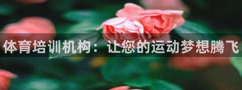 耀世娱乐网址是什么啊：体育培训机构：让您的运动梦想腾