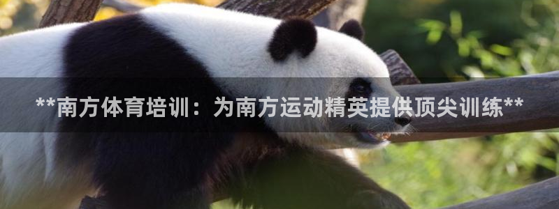 耀世娱乐app下载安装苹果：**南方体育培训：为南方