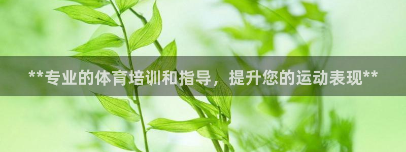 耀世集团视频：**专业的体育培训和指导，提升您的运动