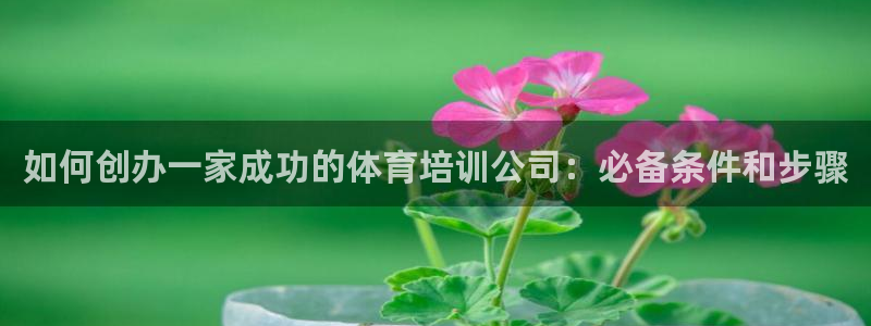 耀世娱乐官方网站登录：如何创办一家成功的体育培训公司