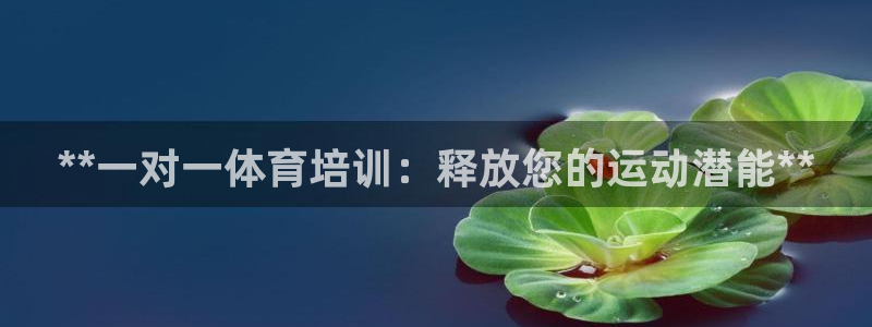 耀世娱乐能提现到微信吗