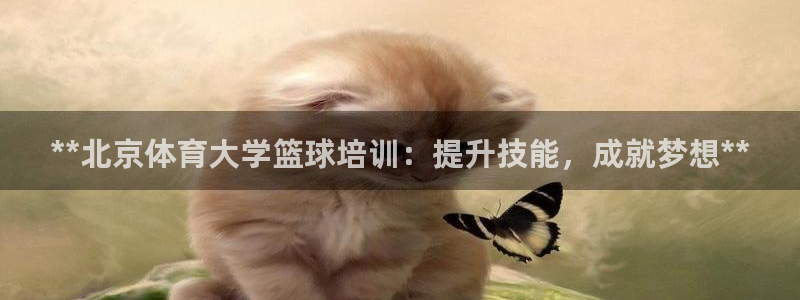耀世娱乐如何登录账号密码：**北京体育大学篮球培训：提升技能