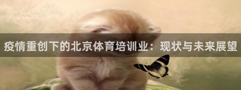 耀世娱乐圈主管什么：疫情重创下的北京体育培训业：现状与未来展