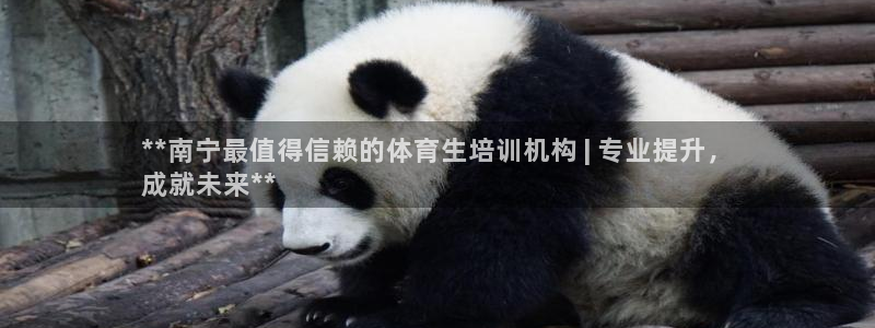 耀世平台升 5O6917 平台：**南宁最值得信赖的