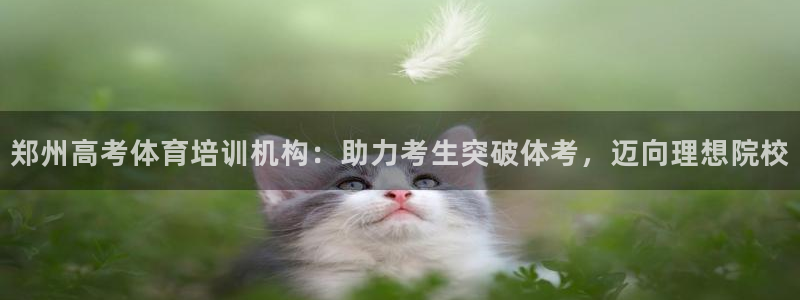 耀世娱乐脚本下载官网：郑州高考体育培训机构：助力考生