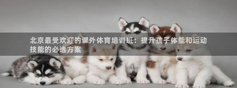 耀世平台开户流程：北京最受欢迎的课外体育培训班：提升