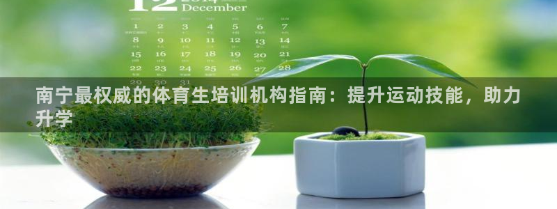 耀世娱乐官网网站下载：南宁最权威的体育生培训机构指南：提升运