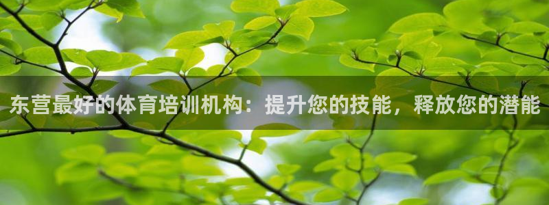 耀世娱乐平台注册登录不了：东营最好的体育培训机构：提